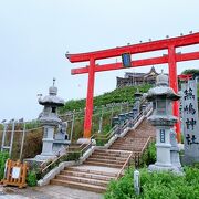 ウミネコの繁殖地として有名な神社!