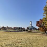 芝生の公園