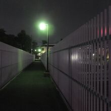 跨線橋夜景