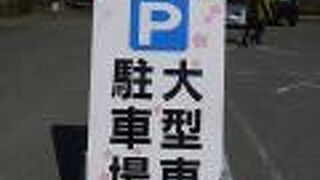 伊佐沢の久保桜