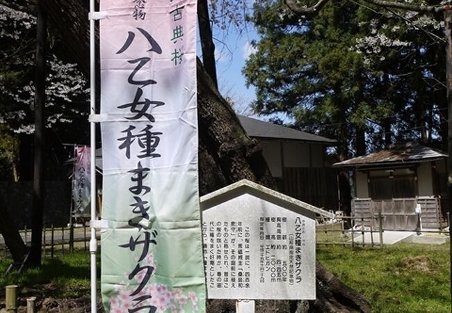 八乙女八幡神社