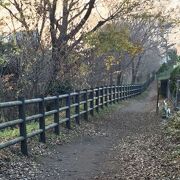 冬の気配を感じる12月