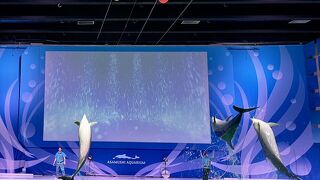 古い歴史のある水族館