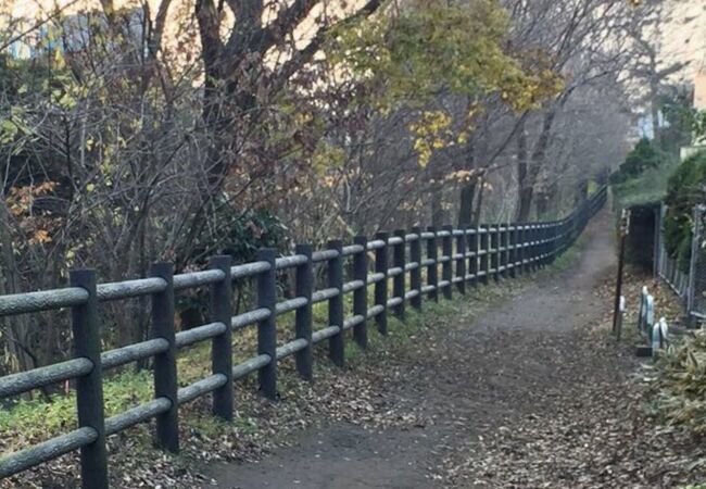 冬の気配を感じる12月