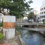 路面電車の西川緑道公園駅で下車。