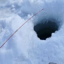 じゅんさい沼ワカサギ釣り場