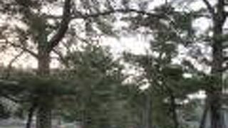 松並木入口の石の鳥居の後ろ側には、「皇太子殿下ご降誕記念」「昭和十年」の文字が。