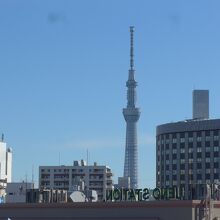 上野公園内から東京スカイツリーをズーム撮影