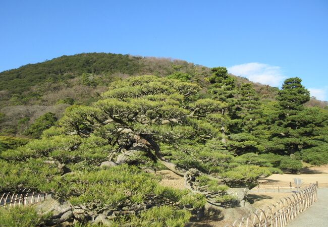 紫雲山