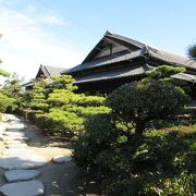 松の他にソテツもあって、鹿児島の指宿あたりの武家屋敷を思わせる雰囲気がありました。