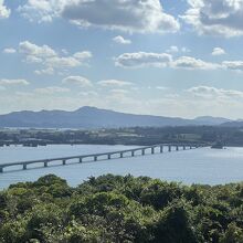 この店から見える古宇利大橋