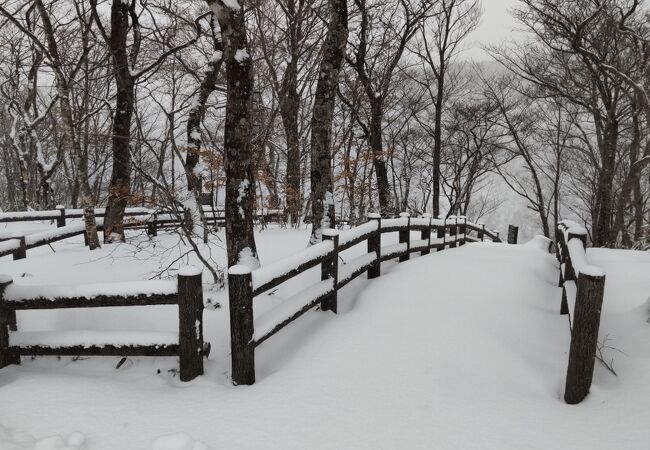 雪で閉鎖中！