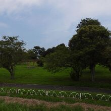 和田公園の風景