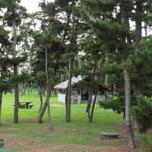 和田公園の風景