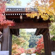 拝観料１０００円の価値あります