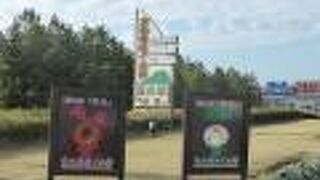 桜島小みかんと桜島大根