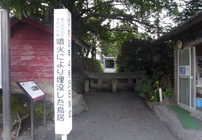「黒神埋没鳥居」で知られる神社