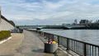 隅田公園から眺めました！