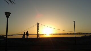 マリンピアから