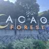 ACAO FOREST