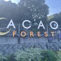 ACAO FOREST