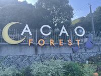 ACAO FOREST