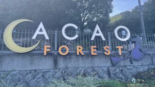ACAO FOREST