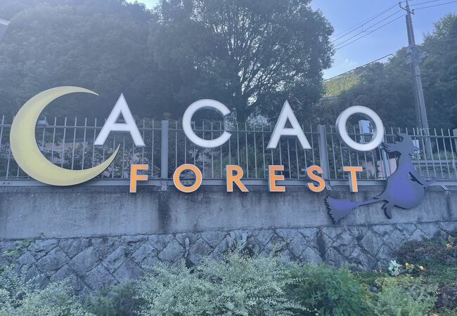 ACAO FOREST