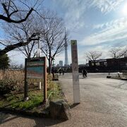 台東区側の隅田公園に！