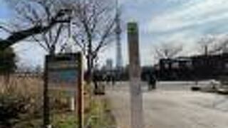 台東区側の隅田公園に！