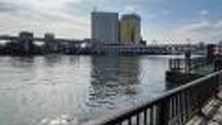 隅田公園から眺めました！