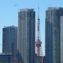 ビルとビルの間に東京タワーが見えていました