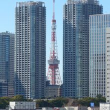 築地市場跡地と東京タワー
