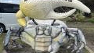 沖縄本島でマングローブ林を見たい方は訪れてください