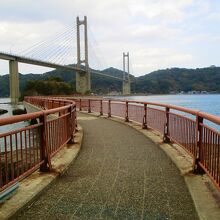 想定外に立派な遊歩道