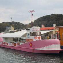 これはピンクのクジラ