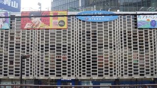 網目のような外観。