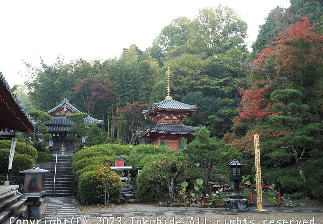 聖徳太子が開基したお寺