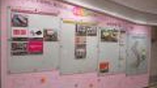 飲食店もいっぱい