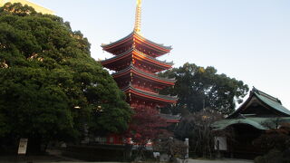 福岡大仏で有名