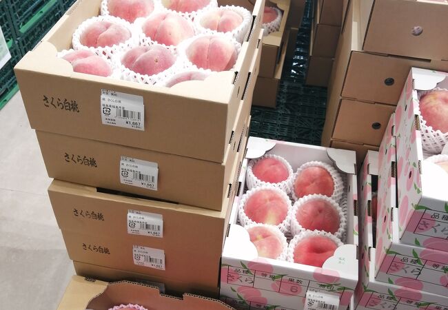 フルーツの季節は大賑わい