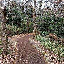 奥に行くと、遊歩道はウッドチップに。歩きやすい