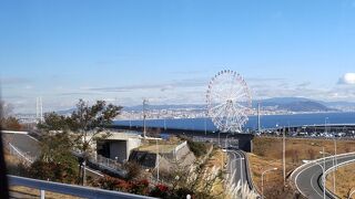 これだけ広いサービスエリアはほかにない