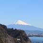 高台にあり遮る物がない部屋からは駿河湾と富士山。。