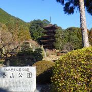 「国宝瑠璃光寺五重塔」を見るために訪れた