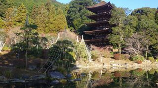 池の奥、緑の中にたたずむ「五重塔」はとても綺麗でした。