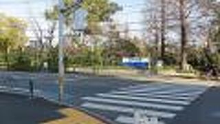 江戸川区の至宝