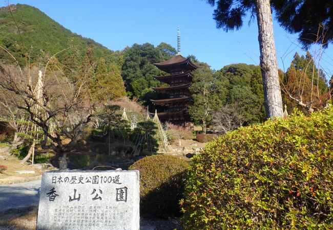 「国宝瑠璃光寺五重塔」を見るために訪れた