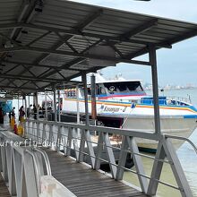 今回乗船したのはこちら