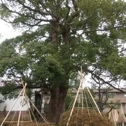 住宅街の中の風情ある公園